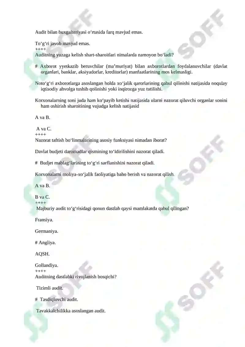 Auditorlik faoliyati 3