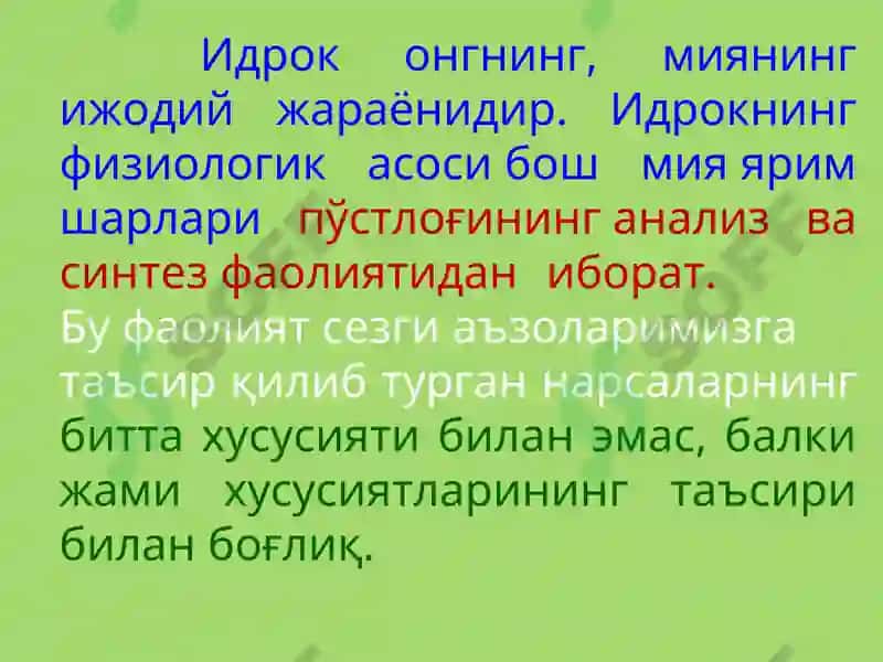 Идрок 3
