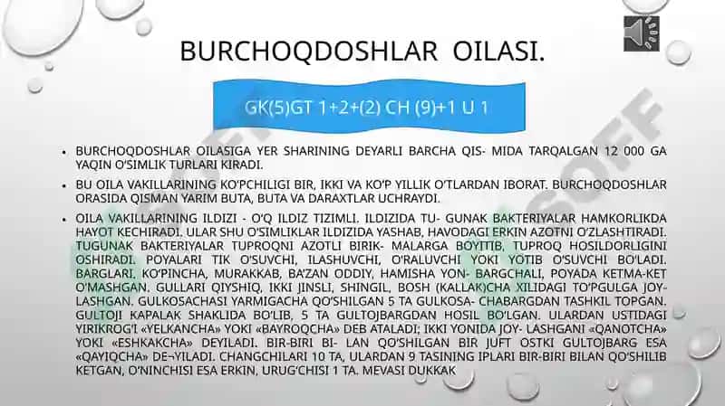 Burchoqdoshlar oilasi 3