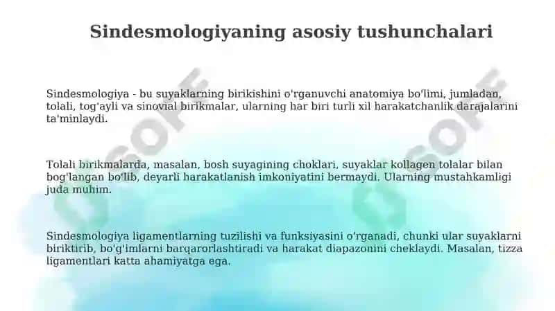 Sindesmologiya 3