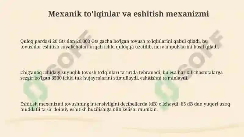 Mexanik to'lqinlarning inson organizmiga ta'siri 3