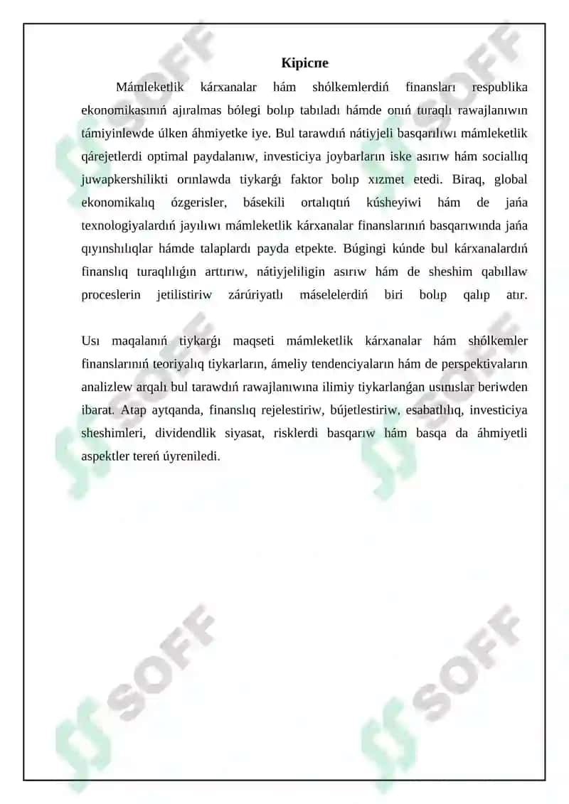 Mámleketlik kárxanalar hám shólkemlerdiń finansları 3