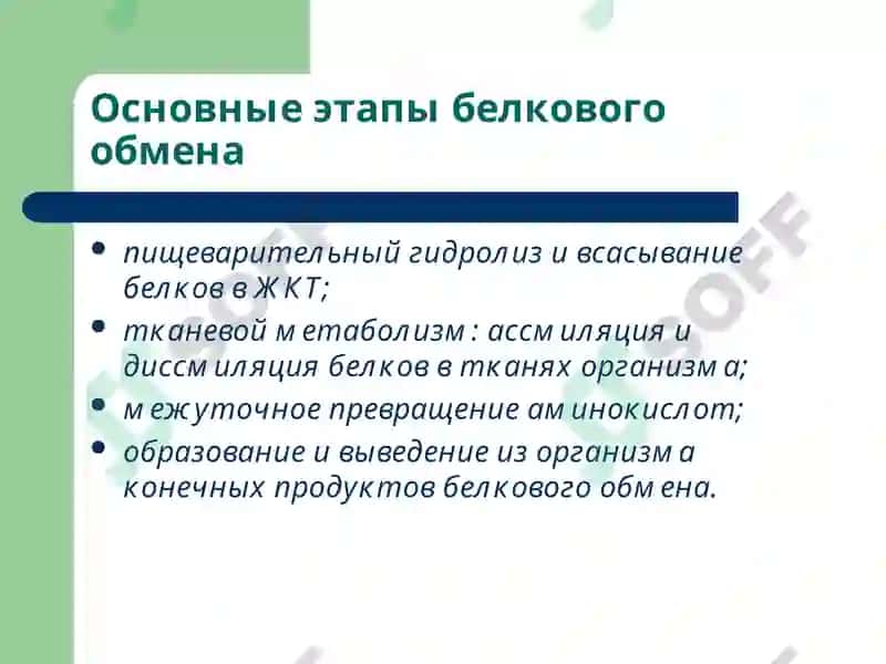 Лекция 9 Патофизиология 3