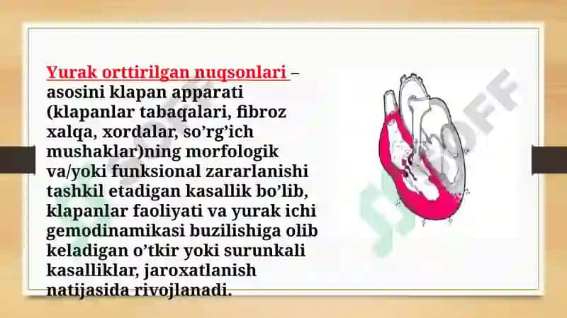 Mitral klapan nuqsonlari 3