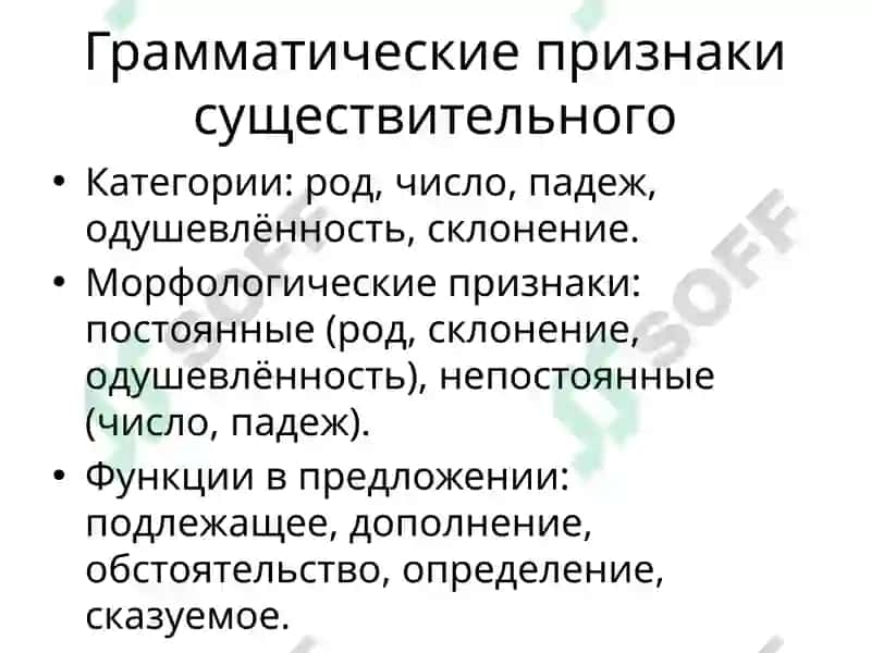 Имя существительное — определение и значение 3