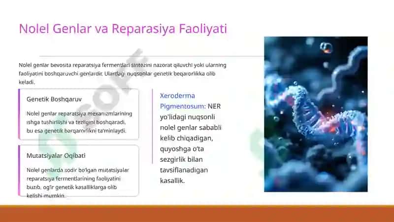 Reparatsiya fermentlari faoliyatining xilma-xilligi, Nolel genlar ta'siri va Pleiotropiya 3