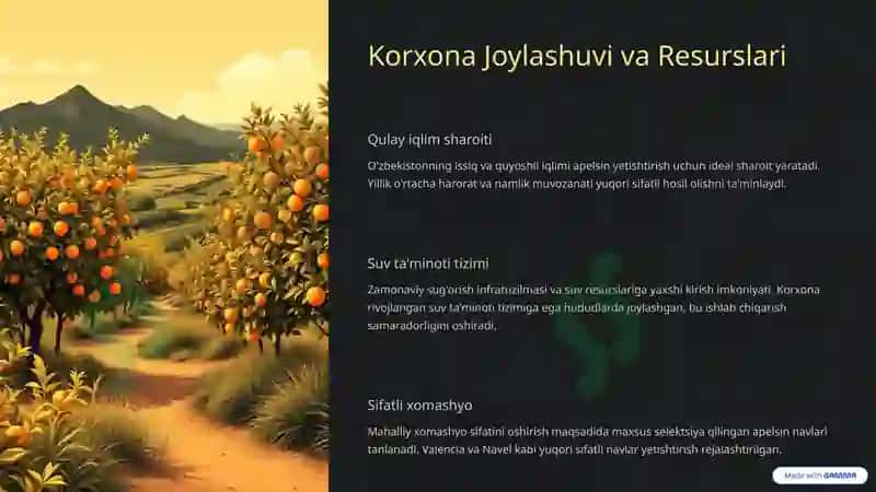 Biznesni rivojlantirish 3