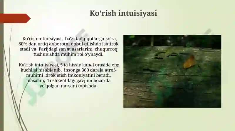 Ko'rish intuitsiyasi 3
