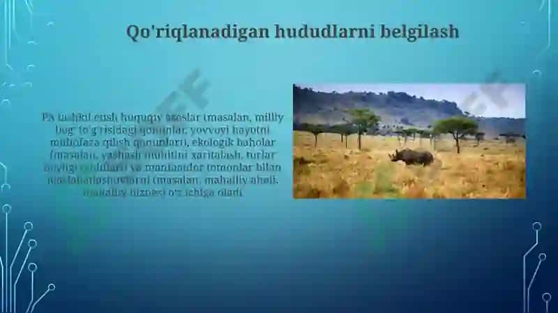 Global Tarmoqlar va Boshqaruv 3