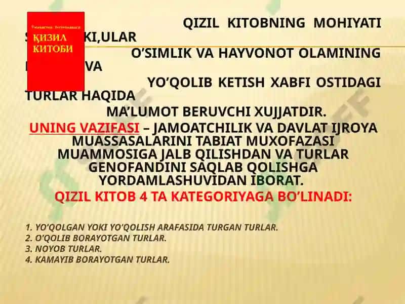 QIZIL KITOB 3