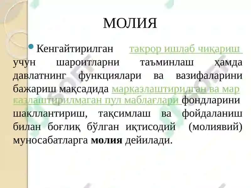 Молия 3
