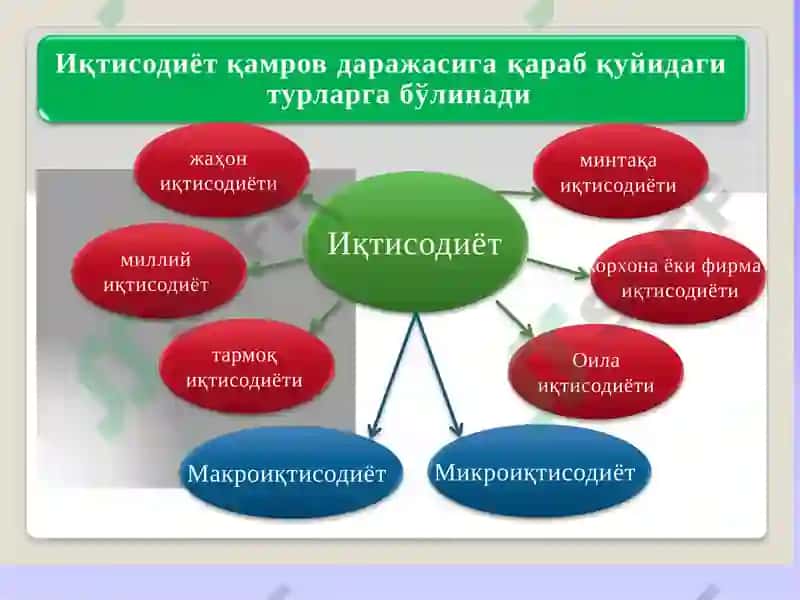 Iqtisоdiyotnаzаriyasifаniningpredmеtivаbilishuslublаri 3