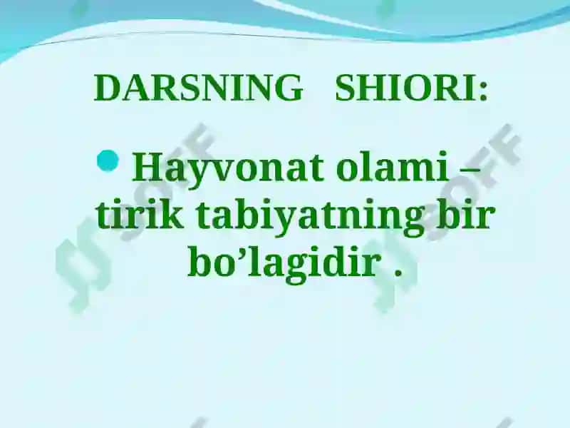 Dengiz sutemizuvchilari: kurakoyoqlilar va kitsimonlarturkumlari 3