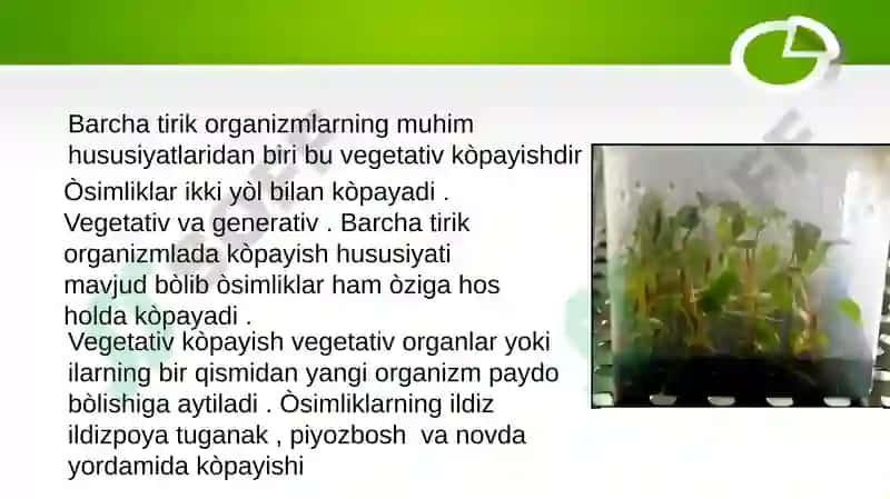 Manzarali va gulli o`simliklarni vegetativ usulda ko`paytirish 3