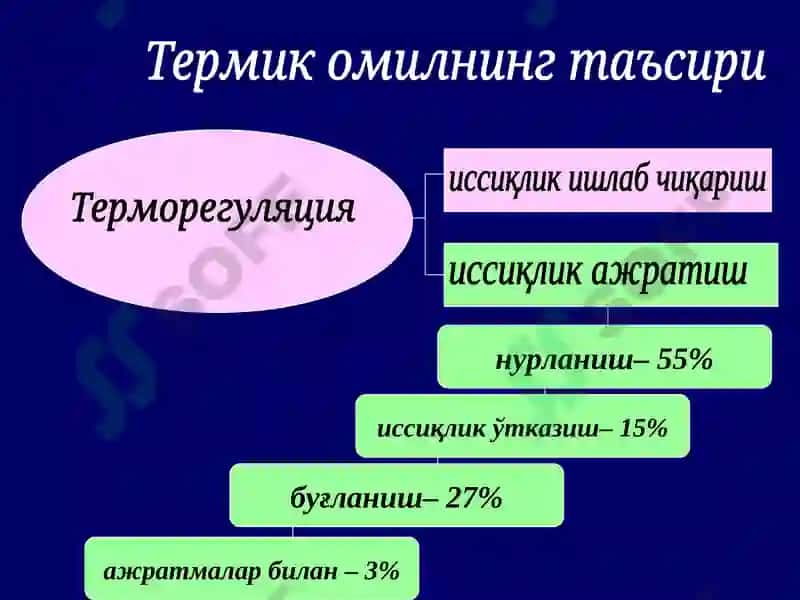 Суд-тиббий экспертиза 3
