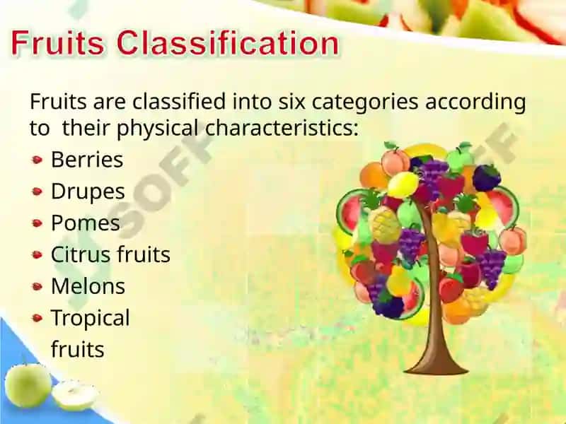 Fruits Classification 3