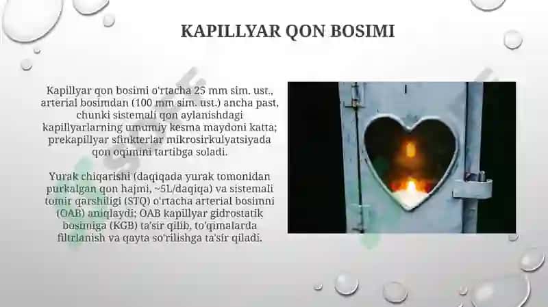 Kapillyar qon bosimi 3