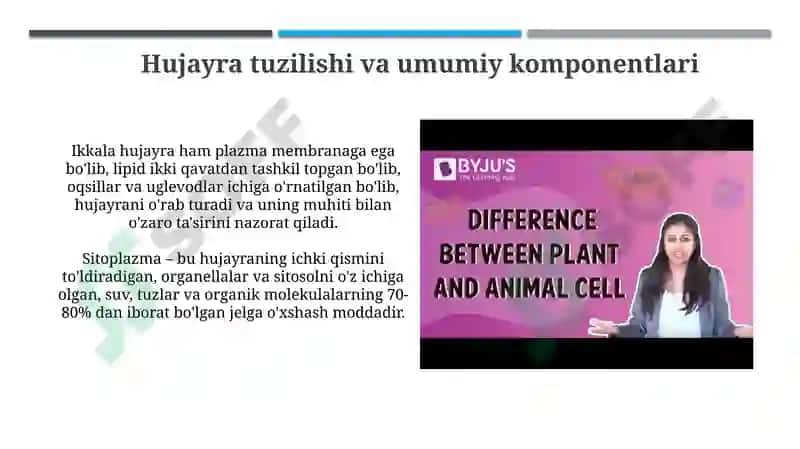 Hayvon va o'simlik hujayralarining farqlari 3