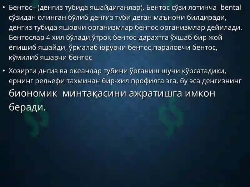 ПАЛЕОНТОЛОГИЯ 3