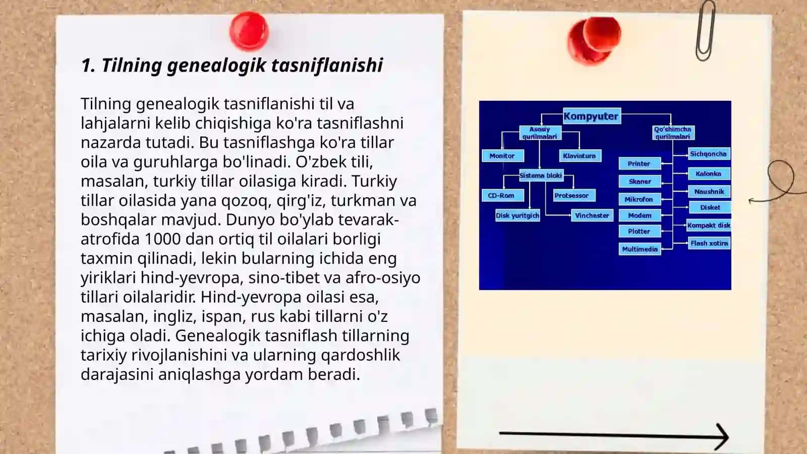 Tillarning genealogik tasnifi 3