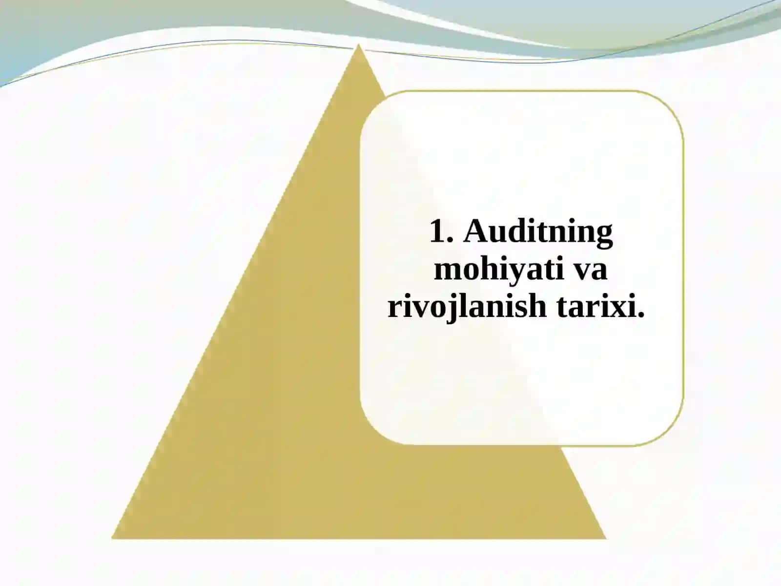 AUDITGA UMUMIY TAVSIF 3