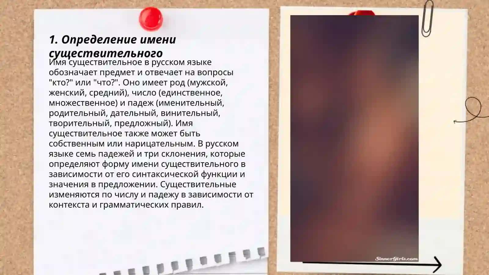 Определение имени существительного 3