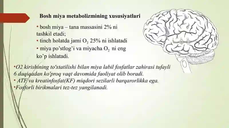 Nerv Impulsi va Asab Tizimi Kimyosi 3