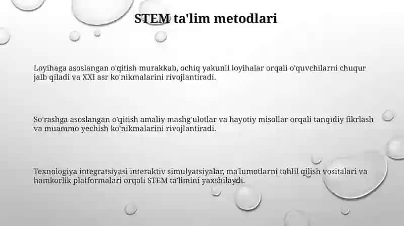 STEM talim tizimi 3