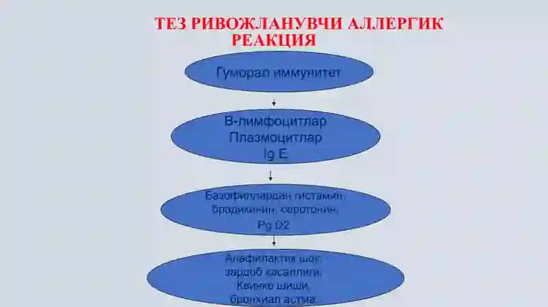 Allergik reaksiya 3