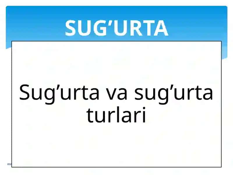 Hayot Sug`urtasi. 3