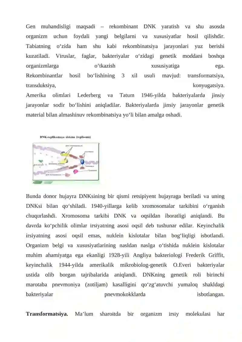 Hujayra irsiyatining o’zgarishiga olib keladigan jarayonlar 3