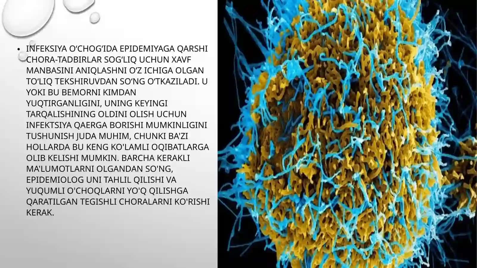 Epidemiologiya tadbirlarining profilaktik va epidemiyaga qarshi choralar shakllantirishning xususiyatlari 3