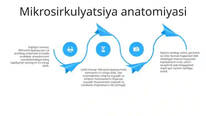 Mikrosirkulyatsiya Haqida Tushuncha 3