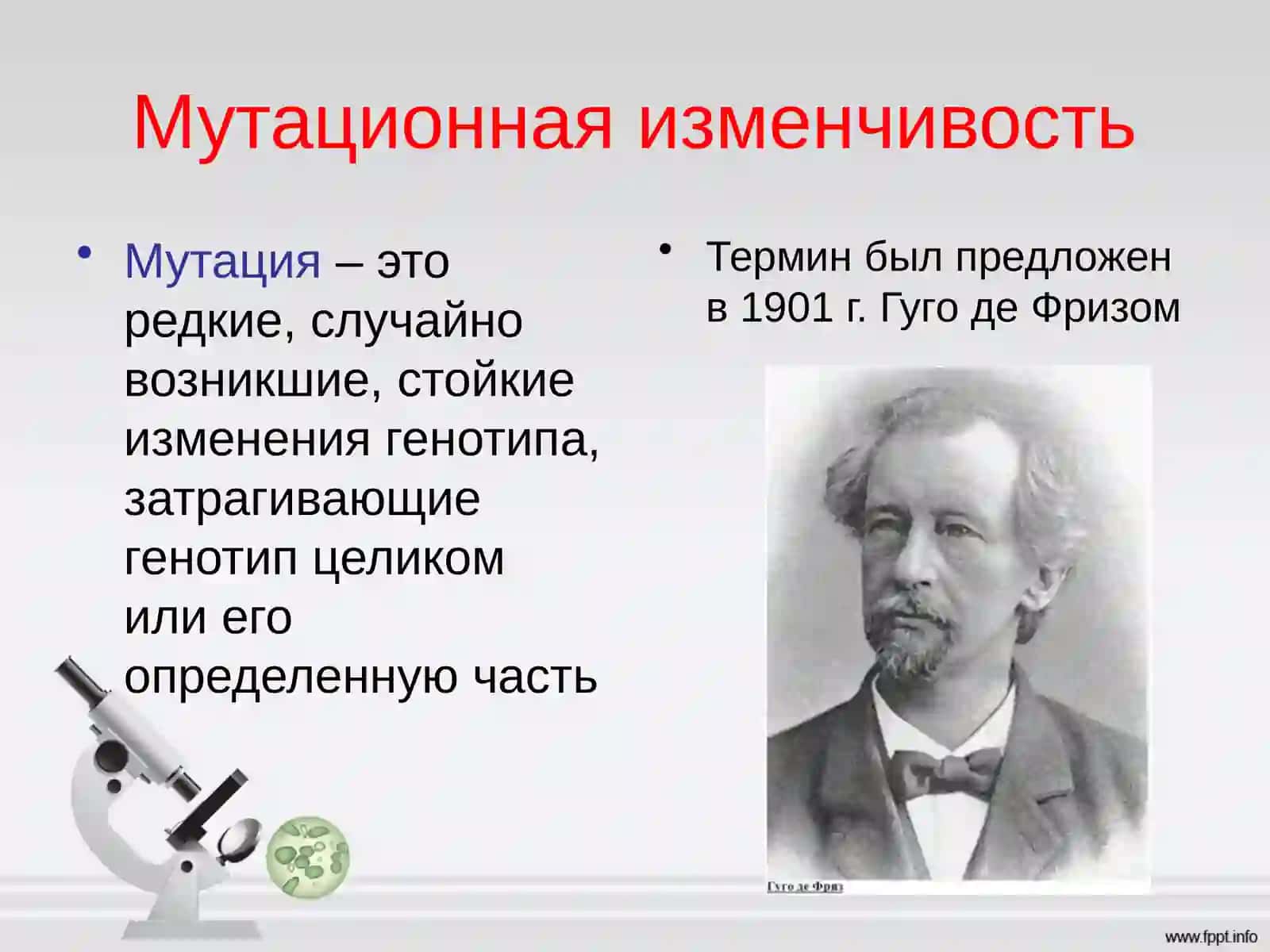 Мутационная изменчивость 3