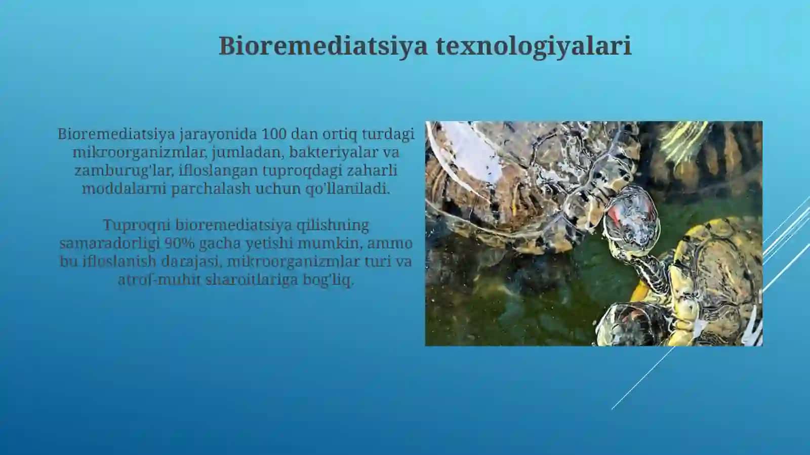 Bioremediatsiya texnologiyalari 3