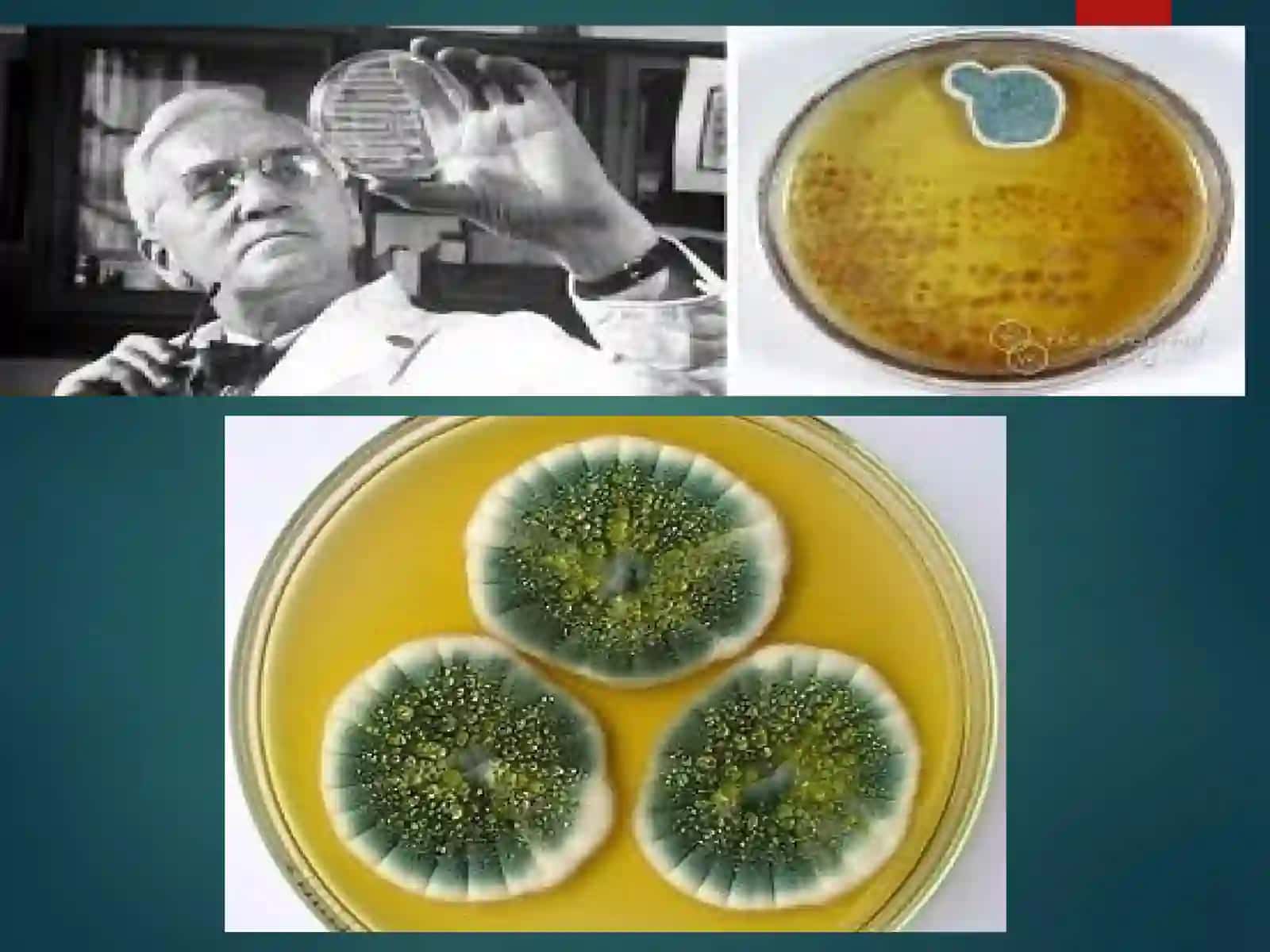 Antibiotiklar 3