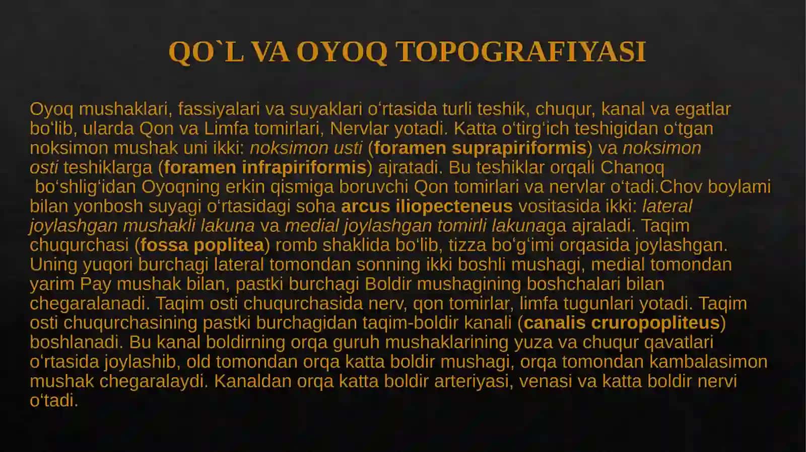 QO`L VA OYOQ TERISINI INNERVATSIYASI 3
