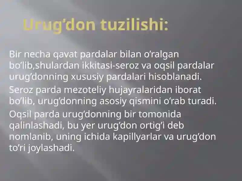 Erkaklar jinsiy a’zolari 3