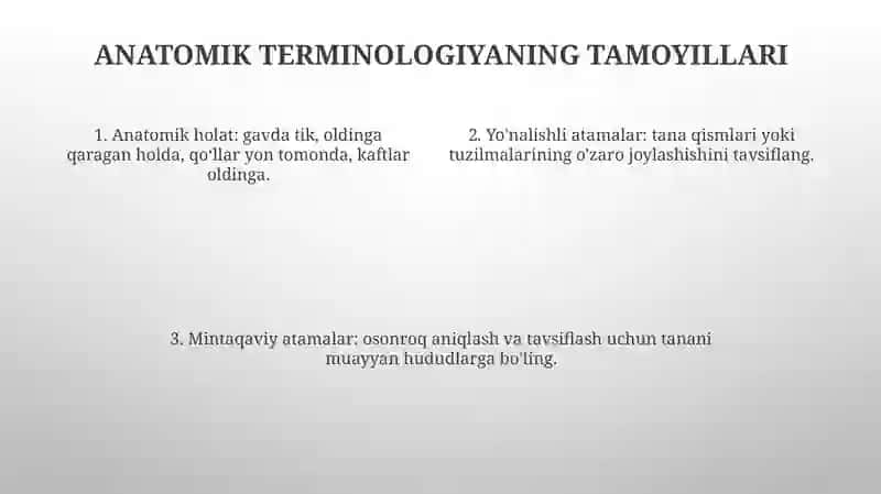 Anatomik Iboralar Tarjimasi 3