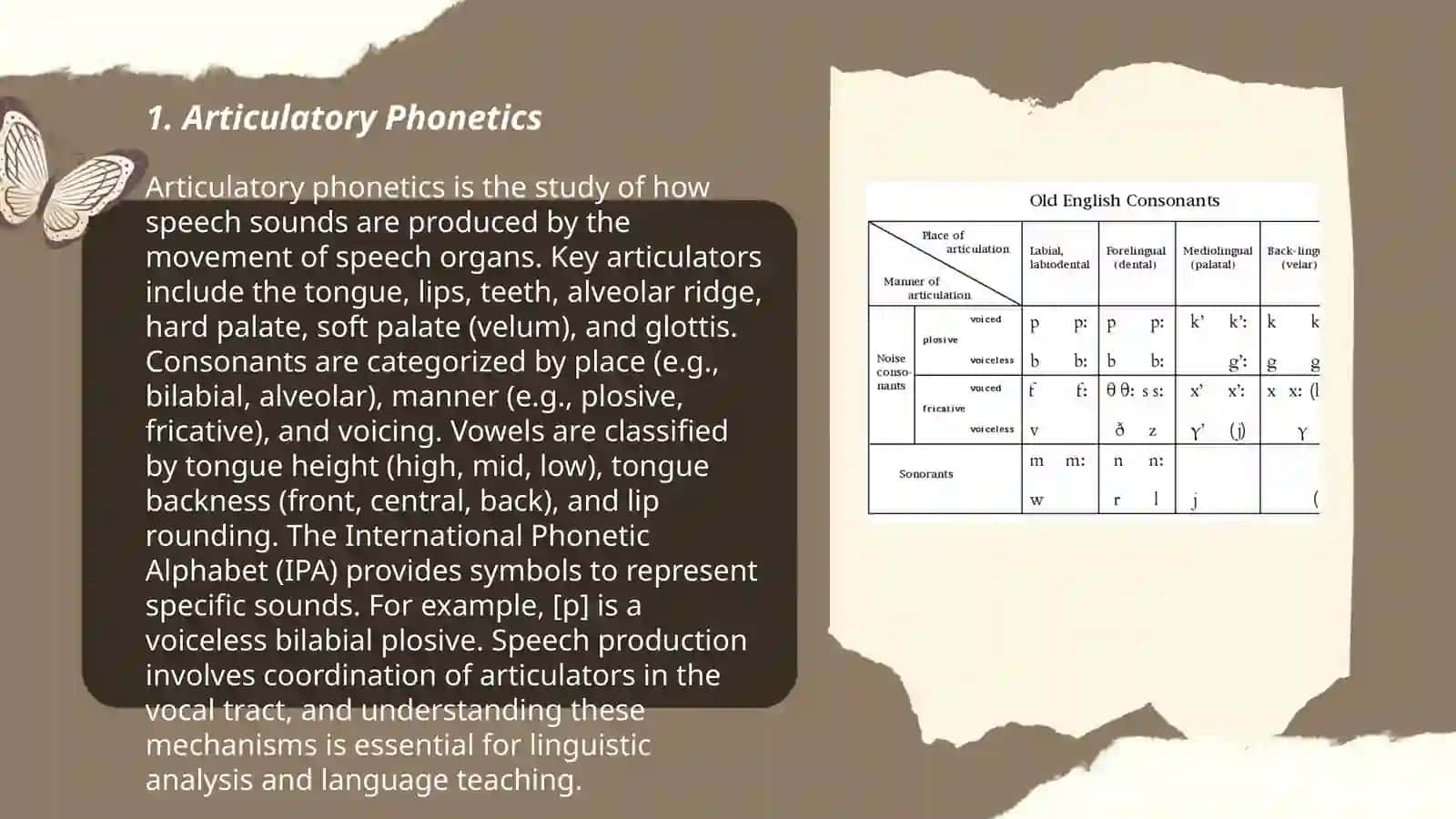 Articulatory Phonetics 3
