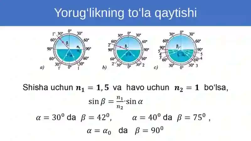 To‘laichkiqaytish 3