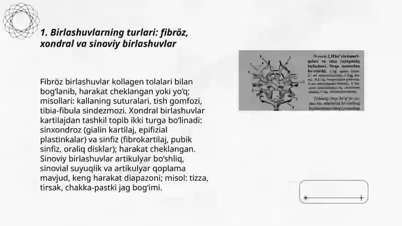Birlashuvlar 3