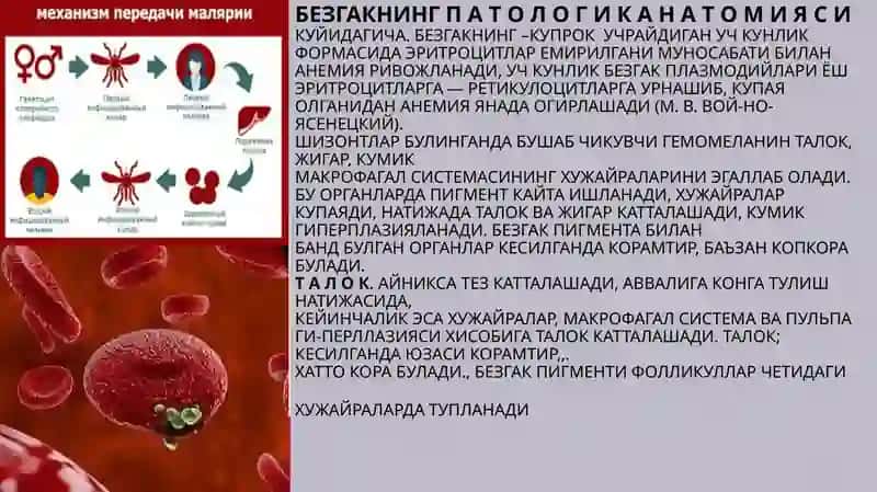 Безгак 3