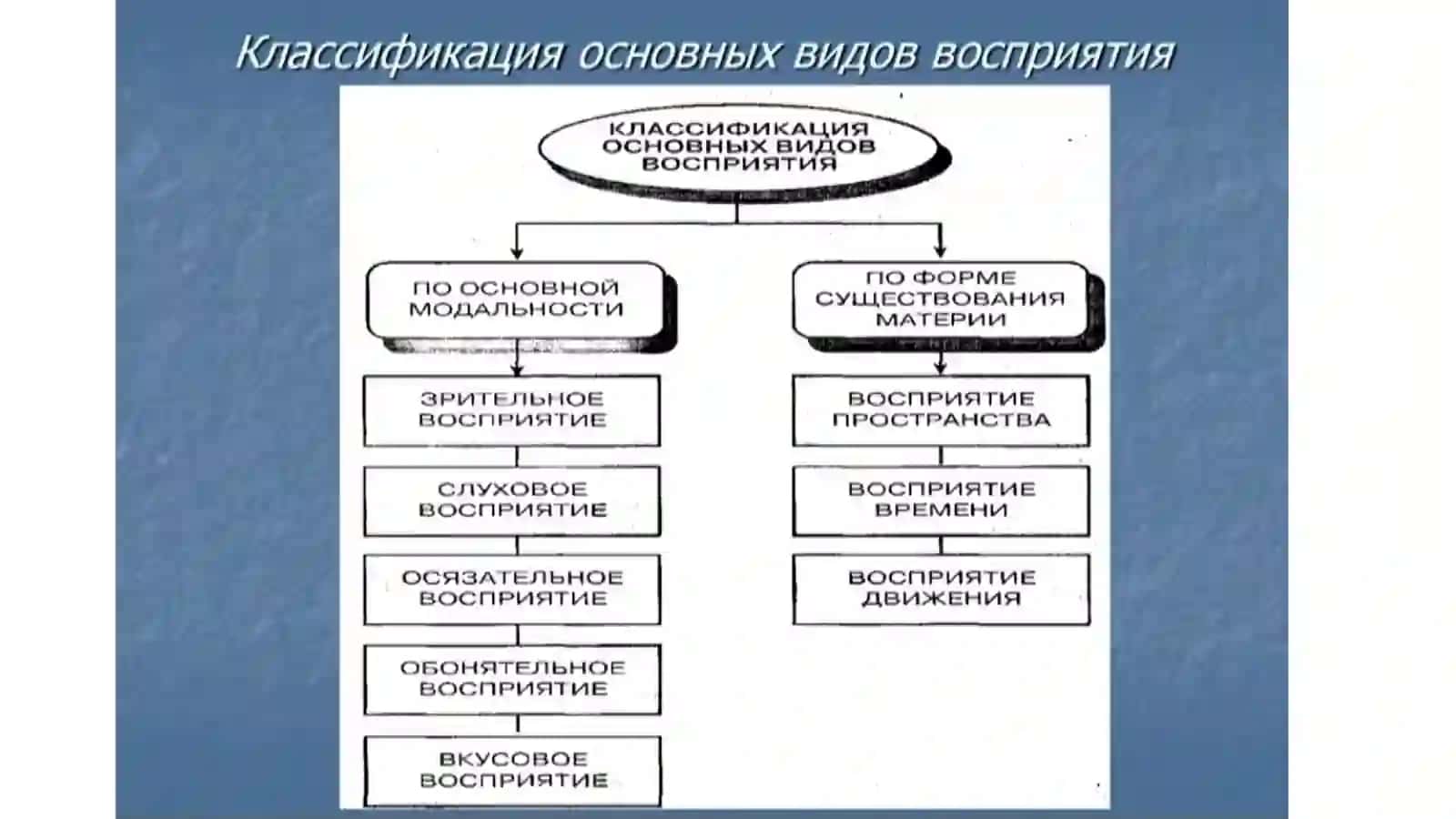 ОСНОВНЫЕ КАЧЕСТВА ВОСПРИЯТИЯ 3