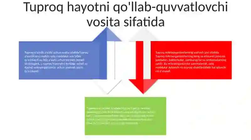 Tuproqning Ahamiyati 3