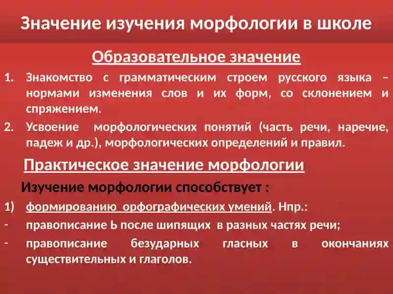 ИННОВАЦИОННЫЕ ПОДХОДЫ К ОБУЧЕНИЮ МОРФОЛОГИИ 3