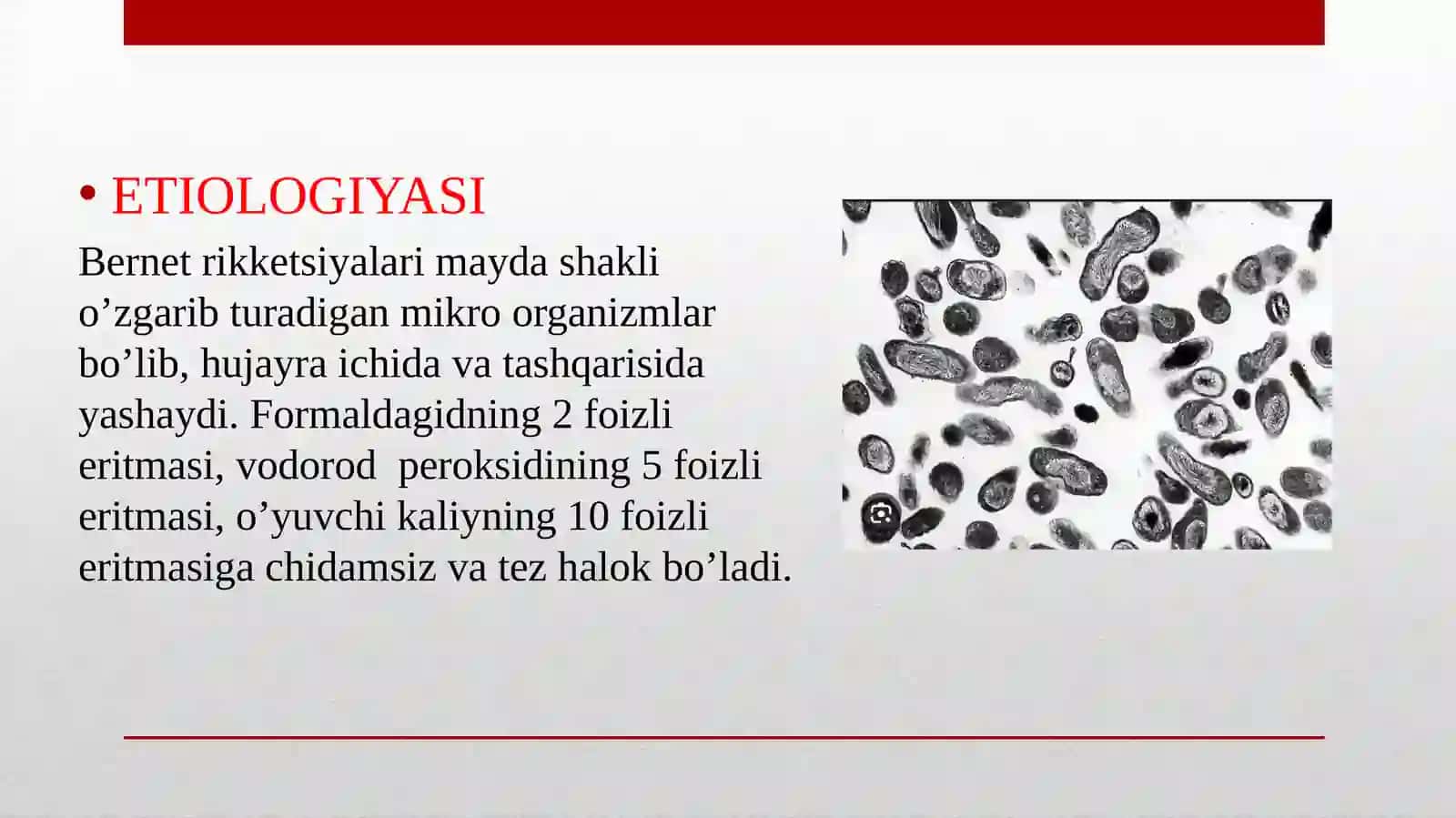 Kuisitmasi 3