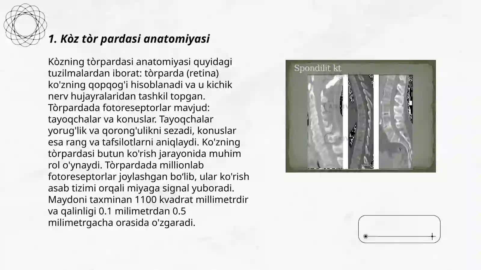 Kòz tòr pardasi degenerativ kasalliklari 3