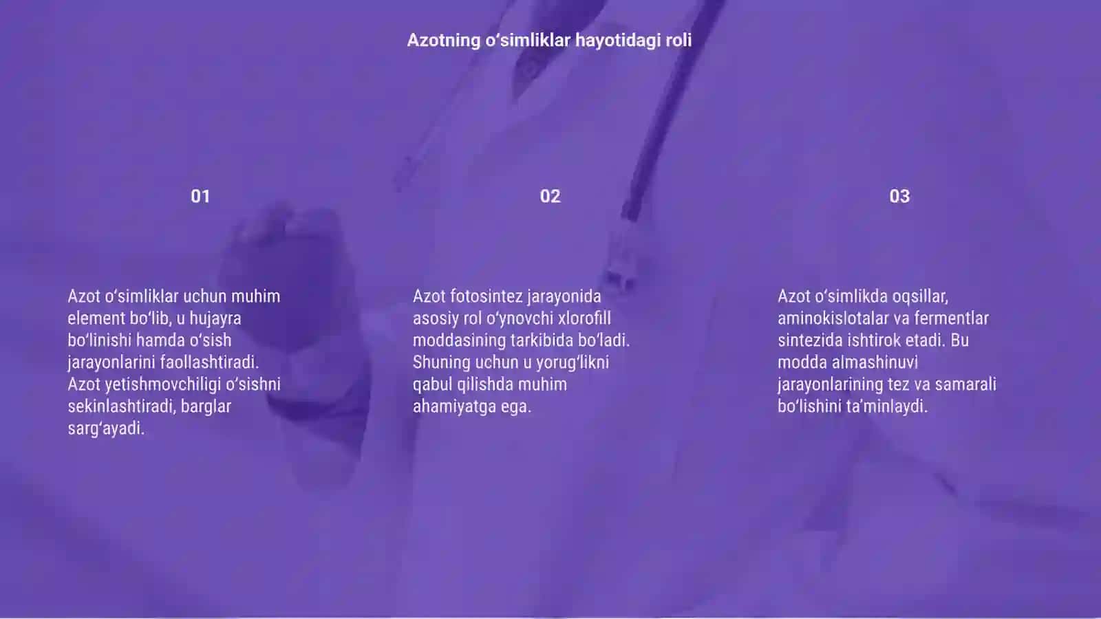 Azotning oʻsimliklar hayotidagi roli 3