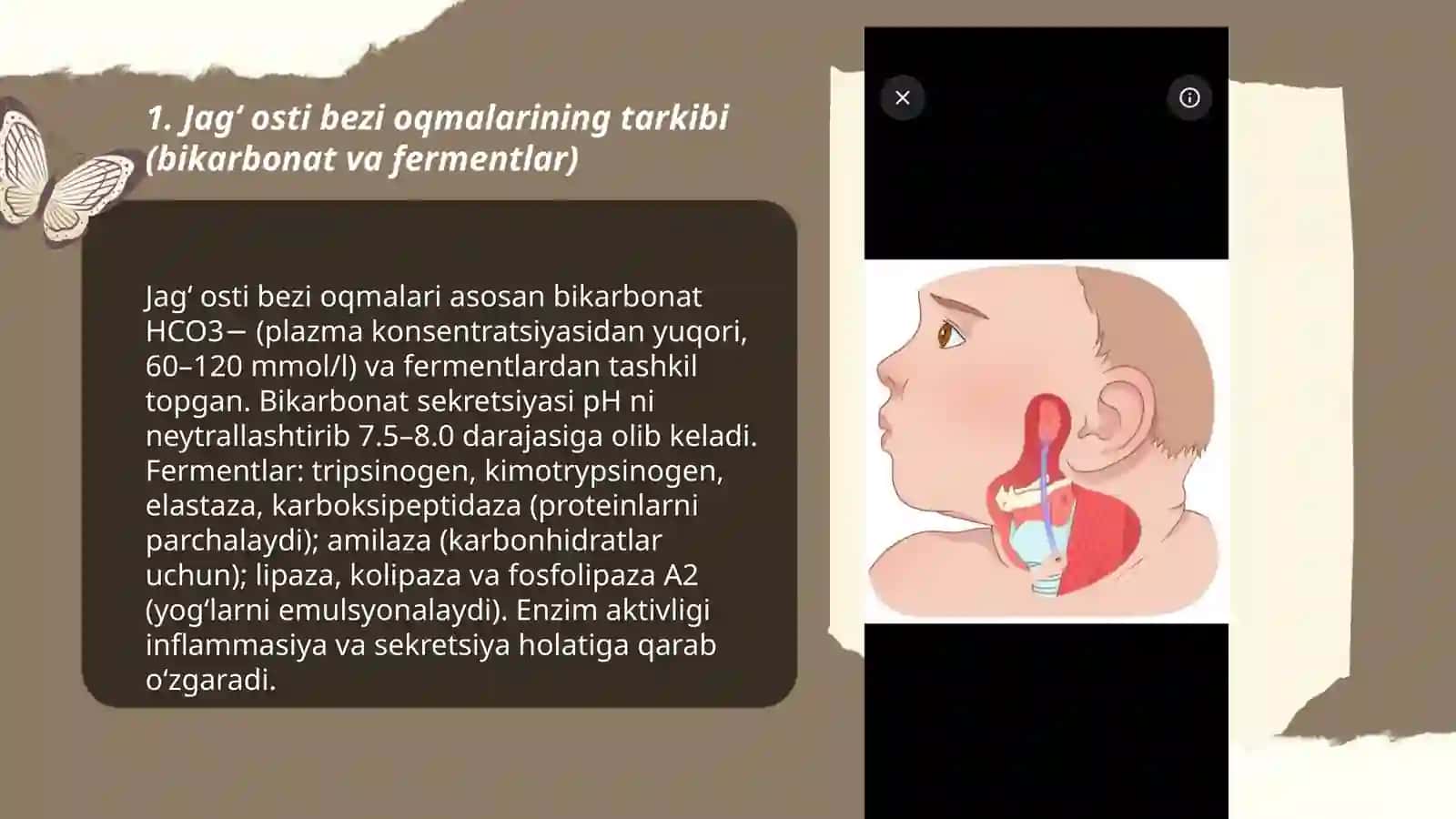 Jagʻ osti oqmalari 3